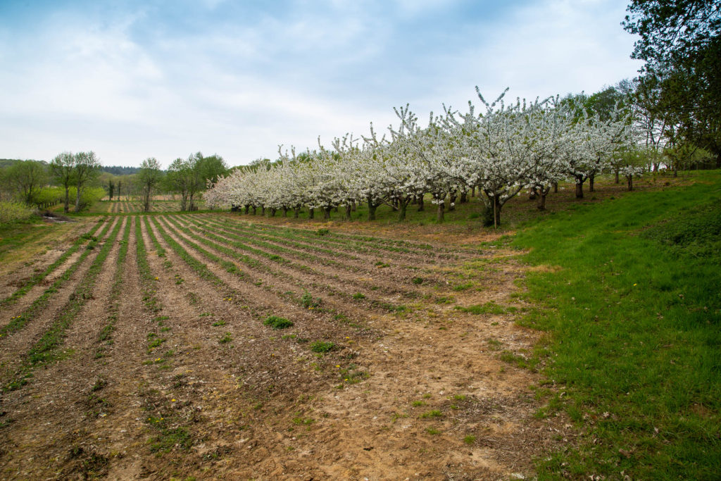 Durleighmarsh Farm Crops