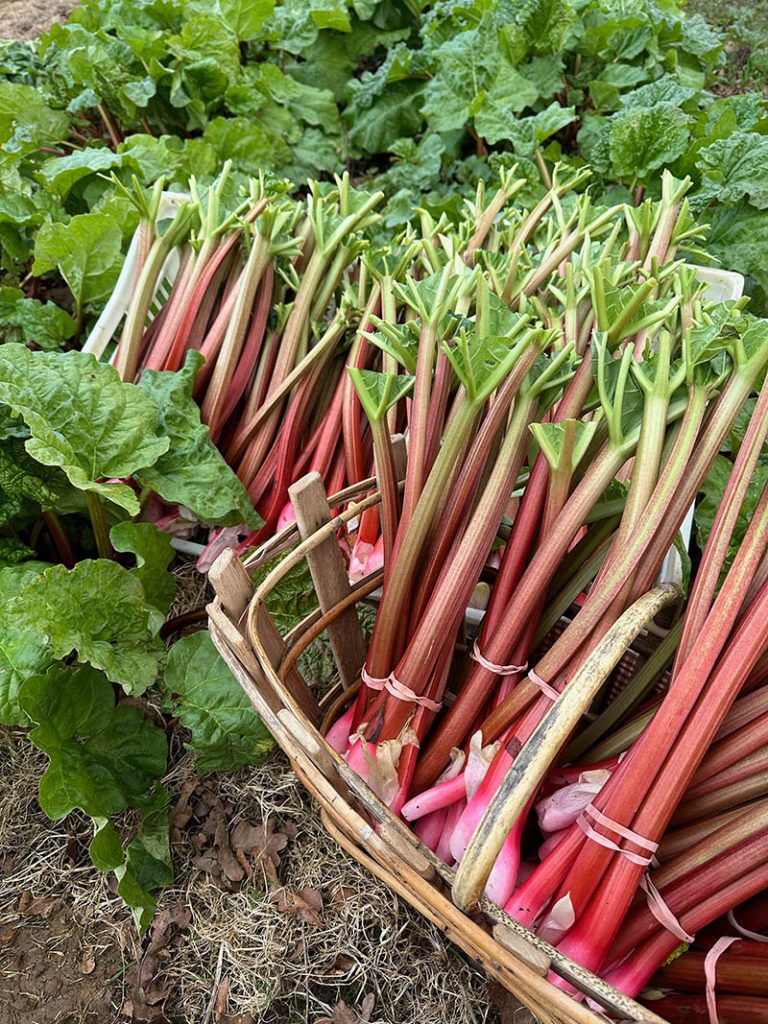 Durleighmarsh Farm Shop Farmers Markets